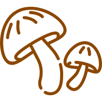 Illustration of two brown mushrooms, one larger and one smaller, with simple line details on the caps and stalks.