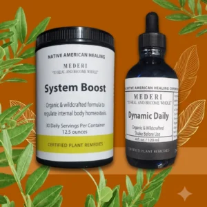 Starter Pack System Boost and Dynamic Daily